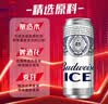 百威冰啤酒500ml*18听整箱装【99%好评】京东自营踏春送礼 实拍图