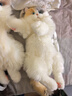Chongker宠客米努特猫咪背包仿真拿破仑猫公仔毛绒玩具送女朋友生日礼物 实拍图