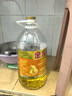 金龙鱼  食用油 花生浓香型食用植物调和油4L 实拍图