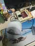 猫人（MiiOW）记忆棉u型枕旅行护颈椎枕飞机睡觉枕头脖子靠枕便携u形枕 实拍图