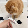 柒哦猫指甲剪猫咪指甲钳引力推推剪宠物小盲剪圆孔剪可调节宠物指甲刀 猫咪指甲剪【粉色】 实拍图