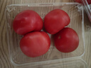 番茄约500g 实拍图