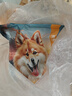 狼孩儿鸭肉梨冻干狗粮40斤装成犬专用粮小型中大型成犬通用粮20kg 实拍图