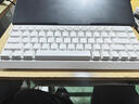 迈从（MCHOSE）Ace 68 V2磁轴键盘Gus同款RT电竞游戏低延迟60pro机械有线连接68键配列FPS双驱动无畏契约 Ace 60 Pro 蓝冰磁轴 实拍图
