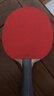 红双喜DHS狂飚五星乒乓球拍横拍反胶弧圈结合快攻H5002含拍包 实拍图