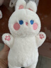 威尔通（WELTSTON）毛绒玩具布娃娃抱枕安抚玩偶儿童生日礼物礼品女生 小白兔子公仔 实拍图