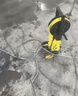 KARCHER德国卡赫高压洗车机K3 Plus HR高压水枪冲洗清洗机【千元经典款】 实拍图
