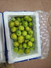 志褚 新鲜青梅鲜果 高山福建诏安青梅果鲜酸脆梅子泡酒青梅酵素 青梅【特大果5斤】 实拍图