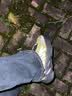 阿迪达斯YEEZY 700MNVN黑绿椰子青少年学生运动休闲鞋GW9525 37码 实拍图