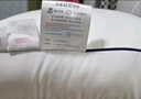 京东京造【TOP1】五星级酒店羽绒枕头欧洲白鹅绒蓬松柔软成人枕芯单只中枕 实拍图