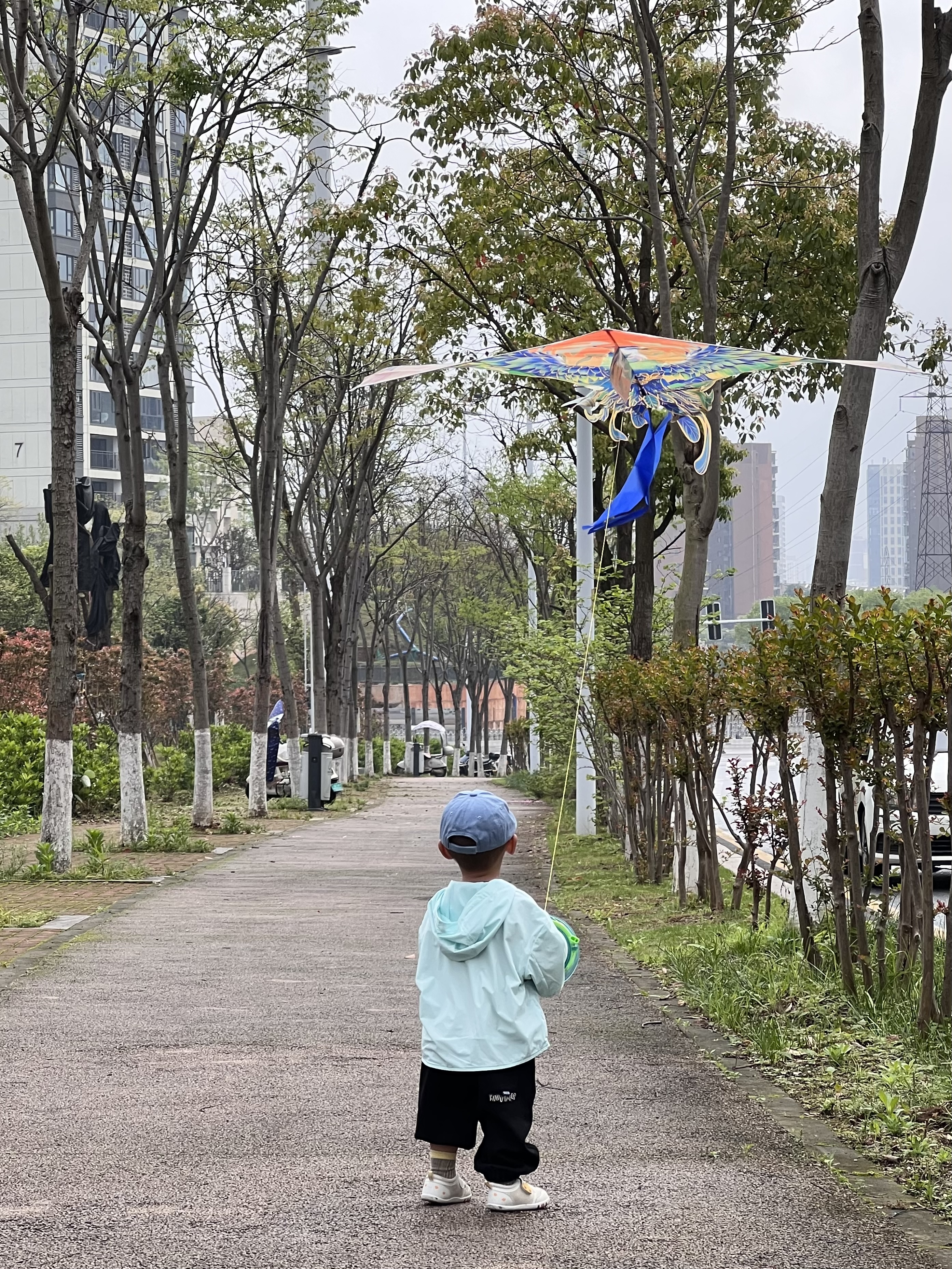 马丁兄弟（Martin brother）马丁兄弟凤凰风筝玩具儿童成大人微风易飞新款国潮长尾潍坊风筝 实拍图