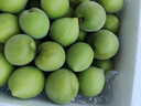 志褚 新鲜青梅鲜果 高山福建诏安青梅果鲜酸脆梅子泡酒青梅酵素 青梅【大果5斤】 实拍图