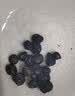 蓝莓干山长白山无添加姆同款正品独立包装大兴安岭特级 【眼睛的好营养】大果蓝莓干共750g 实拍图