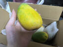 京鲜生 海南大台农芒果 3斤装 单果150g起 新鲜水果 实拍图