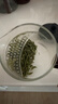 忆壶茶公道杯玻璃泡茶壶月牙过滤绿茶专用茶具配件玻璃分茶器带茶漏 实拍图