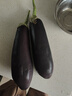 山东新鲜绿把紫皮长茄现摘现发新鲜嫩茄新鲜时令蔬菜生鲜 新鲜绿把紫茄 2斤 带箱 实拍图