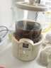 WORLD KITCHEN美国康宁养生壶多功能家用小型办公室全自动全玻璃恒温壶0.5L迷你养生杯煮茶器煮茶壶（标准款） 实拍图