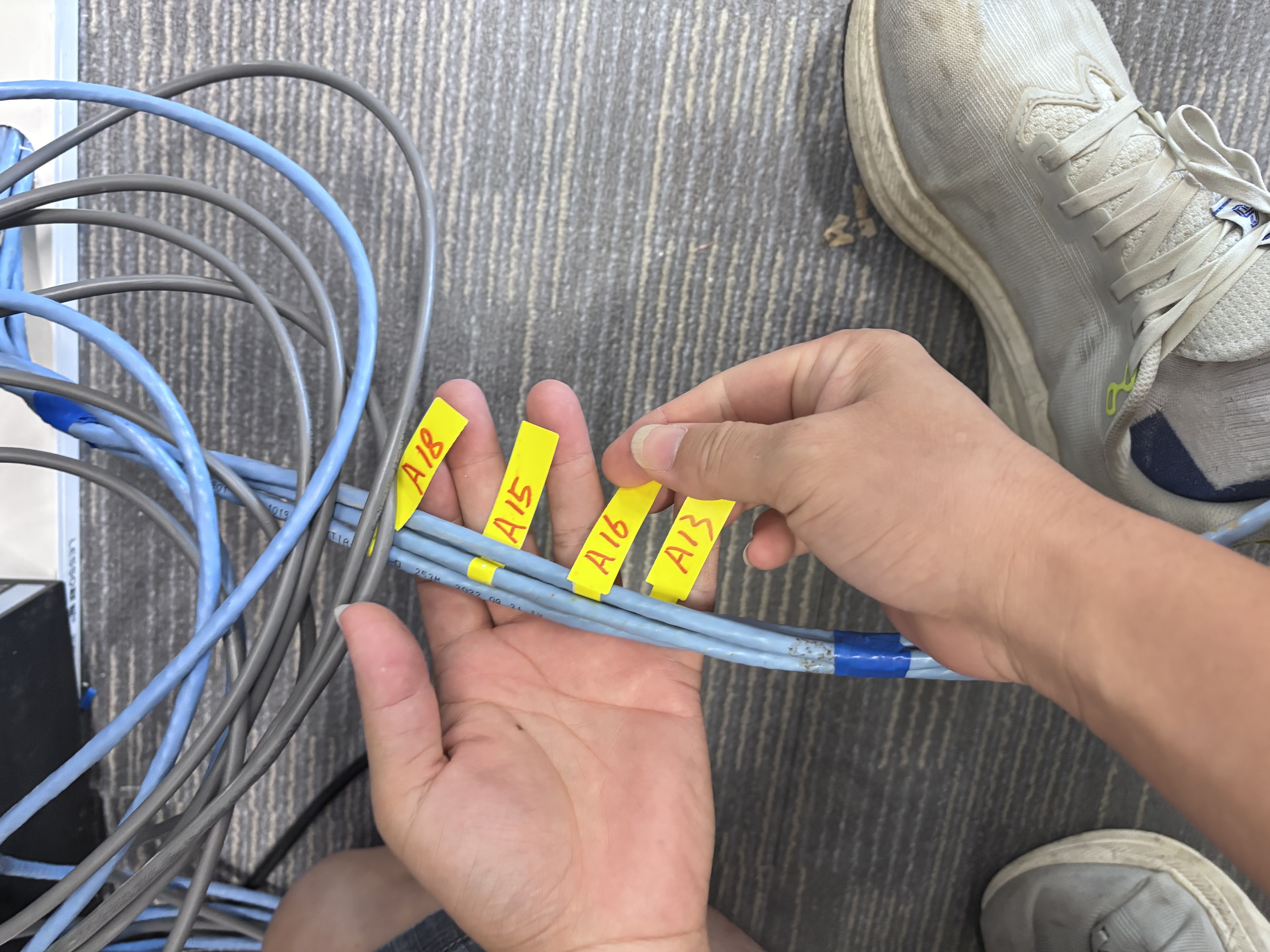 普联（TP-LINK） 超五类千兆网线 工程级无氧铜箱线305米 CAT5e 非屏蔽纯铜双绞线家装网线 TL-EC5e-305B五类监控网线 305米/箱 实拍图