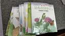 最美的法布尔昆虫记全12册套装 松冈达英大师 儿童自然科普昆虫百科全书学校推荐课外阅读3-6岁7-10岁爱心树童书  实拍图