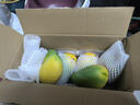京鲜生 海南大台农芒果 3斤装 单果150g起 新鲜水果 实拍图