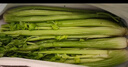 山东新鲜大西芹现割现发榨汁西芹首选水果西芹蔬菜生鲜减肥减脂 新鲜西芹带箱2斤 净重1.7斤 实拍图