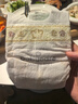 babycare金山茶花婴儿纸尿裤mini装NB34片(<5kg)新生儿尿不湿【新老混发】 实拍图