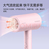飞科负离子电吹风机家用速干便携大风力冷热风吹风筒FH6278 实拍图