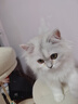 小熊（Bear）婴儿辅食机 绞肉机家用小型多功能打泥搅拌机宝宝料理机 蒜蓉机 家用迷你绞馅碎肉机 QSJ-T02W8 晒单实拍图