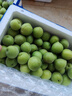 志褚 新鲜青梅鲜果 高山福建诏安青梅果鲜酸脆梅子泡酒青梅酵素 青梅【大果5斤】 实拍图