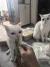 多特思猫零食小轻松猫草猫条50支0肉粉0诱食剂排毛化毛成幼猫条软罐头 实拍图
