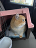 獒少保【带挂碗+垫板】宠物航空箱大号狗猫托运箱猫咪狗狗航空箱运输箱 二号 建议25斤以内 实拍图