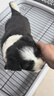 贝初众狗笼子大中小型犬带厕所折叠便携猫笼子超大号狗狗围栏宠物笼 黑色70*50*60cm【25斤内】 托盘+脚垫 折叠免安装 实拍图