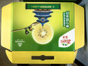 佳沛（zespri）新西兰 新果季 阳光金奇异果10粒巨大果单果146-175g 猕猴桃 实拍图