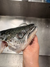 美威冷冻智利三文鱼净重8斤整条轮切礼盒大西洋鲑鱼送礼 进口鱼类 实拍图