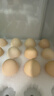 德青源PLUS联名款A+级鲜鸡蛋32枚2.74斤无抗生素 源头直发 1件包邮 实拍图