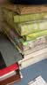 青葫芦六一儿童节玩具5岁女孩4男孩生日礼物8男童12女童3一年级立体书10 【昆虫记+显微镜】16开绘本+礼袋 三幼儿园小朋友二小学女生小女孩子7-14十姑娘6.1 实拍图