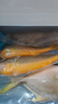 三都港 冷冻黄花鱼净重600g/2条装 宁德大黄鱼 海鱼 生鲜鱼类 海鲜水产 实拍图
