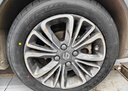 三角（Triangle） 轮胎/汽车轮胎 165/65R15 81H TE307a 适配零跑T03/黑猫/白猫 实拍图