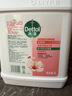 滴露（Dettol）洗手液补充装大桶消毒滋润5L 儿童家庭装杀菌护手 实拍图