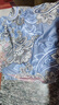 捡漏纯棉女装2026春秋季新款减龄长袖半高领T恤女上衣潮 F299【灰蓝色-半高领】特价款非纯棉 3XL 建议140-155 实拍图