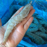 鲜京采 开背去虾线海白虾3斤装 大号45-60只  实拍图