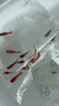 卡奇鱼 胎生鱼 玛丽球鱼热带观赏鱼淡水鱼活体鱼宠物鱼宠物活体丽丽曼龙 蓝月+牡丹+黑尾+红月光各5只 实拍图