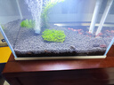 疯狂水草黑色火山石鱼缸专用养鱼过滤底沙颗粒鱼缸造景底砂装饰养乌龟专用 实拍图