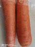 胡萝卜约600g 实拍图