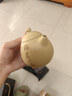 藏壶天下 宜兴紫砂壶 纯手工精品刻绘茶壶功夫茶具原矿本山段泥龙蛋茶壶 龙蛋壶 200ml 实拍图