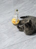 欢宠网猫玩具猫咪逗猫棒猫薄荷球不倒翁自嗨神器自己玩解闷猫猫小猫幼猫 实拍图