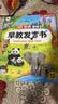 孩悦 Hi孩悦智能早教发声书早教启蒙益智发声书宝宝宝学说话婴幼儿认知点读有声书智能AI趣味启蒙认知大场景百科地板书熏听机国学机周岁礼物礼物新年礼物Ai故事机儿童节六一礼物 早教发声书 点读书 实拍图