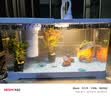 阔庭（KUOTING）鱼缸水族箱生态桌面鱼缸新款懒人鱼缸生态造景过滤制氧一体机蓝色 实拍图