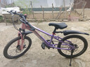 凤凰山地自行车男女变速山地车碟刹青少年儿童自行车学生单车 星际 粉紫【单速+辐条轮】 20寸【适合125-160cm】 实拍图