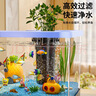 阔庭（KUOTING）鱼缸水族箱生态桌面鱼缸新款懒人鱼缸生态造景过滤制氧一体机蓝色 实拍图